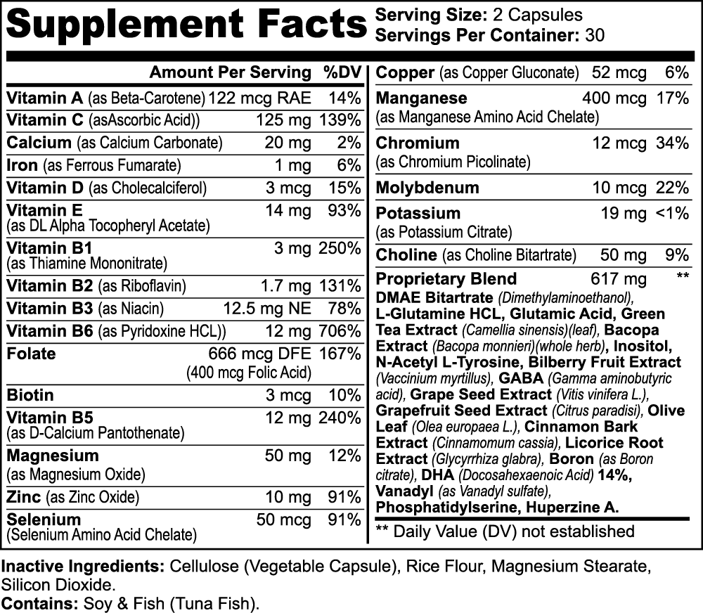 Zenith Health Nootropic Brain & Focus Blueprint